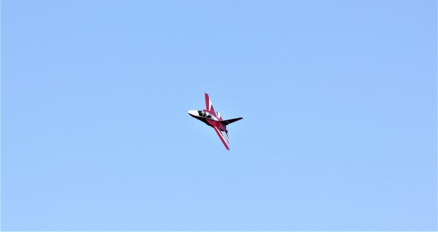 Foto - Yuvadan ayrılan HÜRJET'ten bir ilk! Yürekleri ağza getirdi