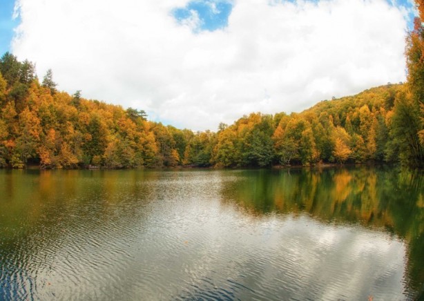 Yüz binlerce lira cezası var! Bu hayvanların yanından geçen yanar