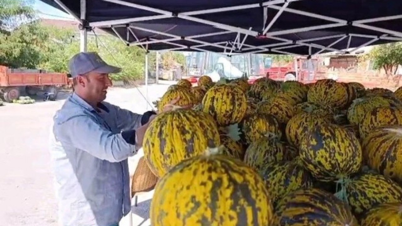 Foto - Yüz yıllık bereket! Kilosu 15 liraya satılıyor