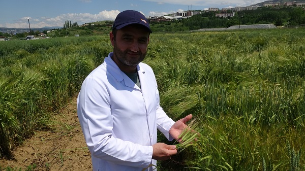 Foto - Yüzde 20’lik artış! Bilim adamlarından tarımda müthiş formül