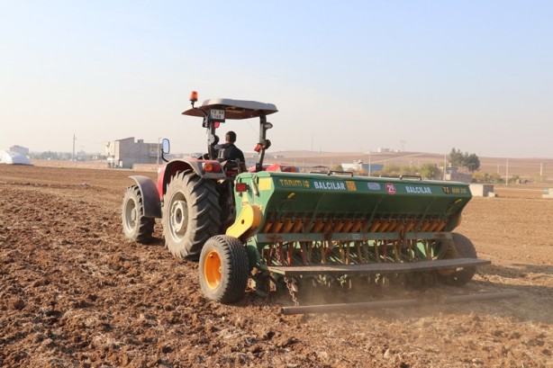Foto - Yüzde 75 hibe desteği! Kırmızı mercimek tohumu toprakla buluştu