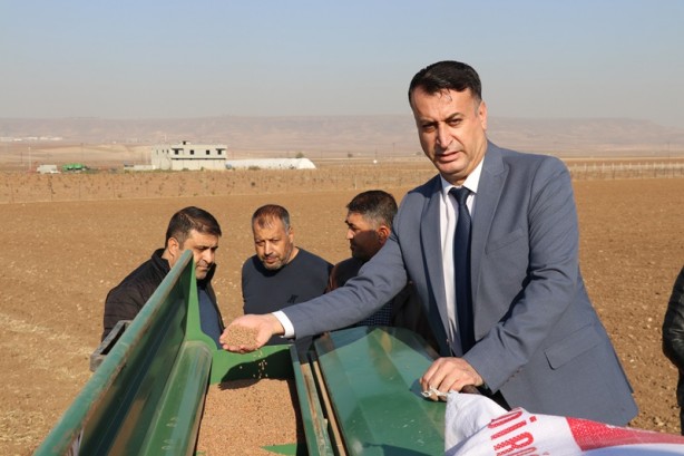 Foto - Yüzde 75 hibe desteği! Kırmızı mercimek tohumu toprakla buluştu