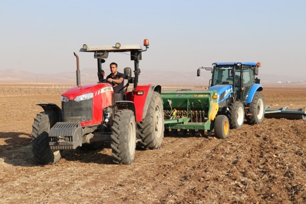 Foto - Yüzde 75 hibe desteği! Kırmızı mercimek tohumu toprakla buluştu