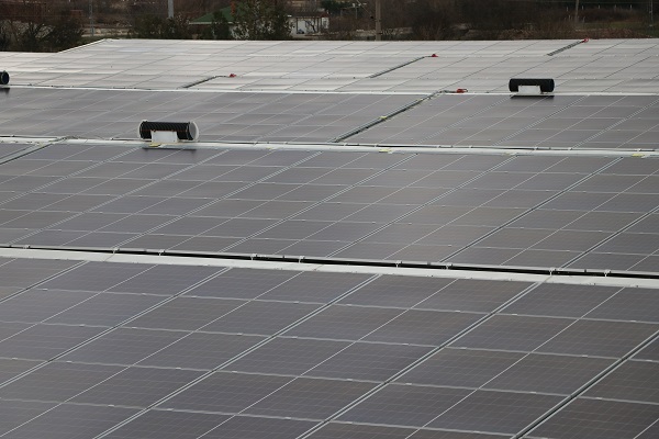 Foto - Yüzde 80’lik tasarruf sağlıyor! Enerjisini güneşten alıyor ürünlerini Avrupa’ya satıyor