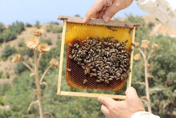 Foto - Yüzde 90’ı ülkemizde üretiliyor! İşte Türkiye'nin yeni hedefi