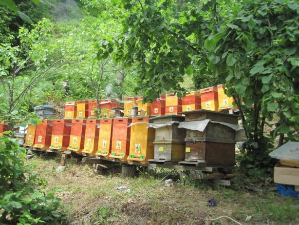 Foto - Yüzde 90’ı ülkemizde üretiliyor! İşte Türkiye'nin yeni hedefi