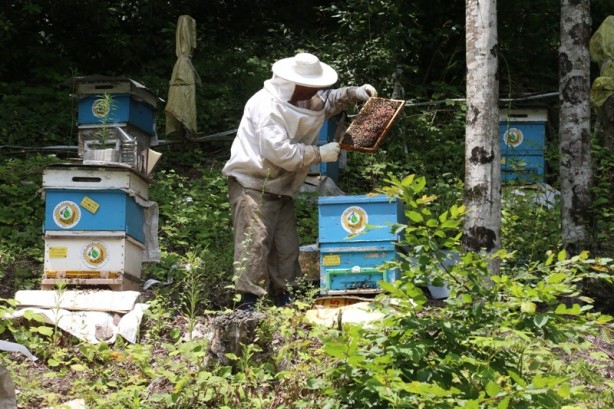Yüzde 90’ı ülkemizde üretiliyor! İşte Türkiye'nin yeni hedefi