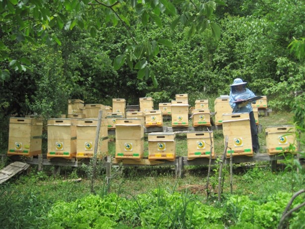 Foto - Yüzde 90’ı ülkemizde üretiliyor! İşte Türkiye'nin yeni hedefi