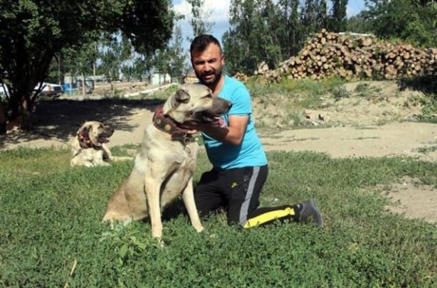 Foto - Yüzde yüz yerli! Yavruları daha doğmadan satılıyor