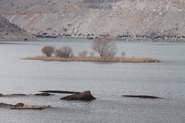 Foto - "Yüzen adalar" bu yöntemle kurtarılacak