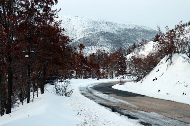 Foto - Yüzen adalar dondu