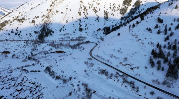 Foto - Yüzen adalar dondu