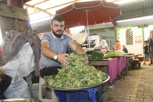 Foto - Yüzler gülüyor! Taze fındıklar tezgahları süsledi