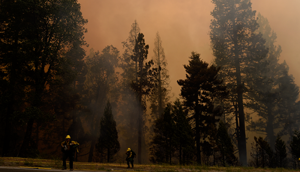 Yüzlerce ev yok oldu! ABD felaketi yaşıyor