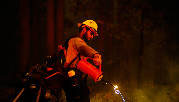 Foto - Yüzlerce ev yok oldu! ABD felaketi yaşıyor