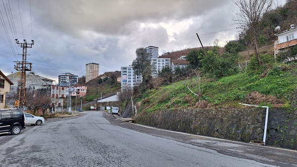 Foto - Yüzlerce vardı! Tek bir tane kaldı