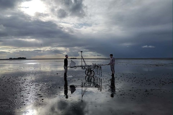 Foto - Yüzlerce yıl sonra ortaya çıktı! Okyanusun yuttuğu gizemli şehir