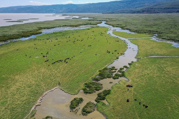 Foto - Yüzlerce yıllık geçmişe sahip! Burası Afrika savanaları değil Bursa