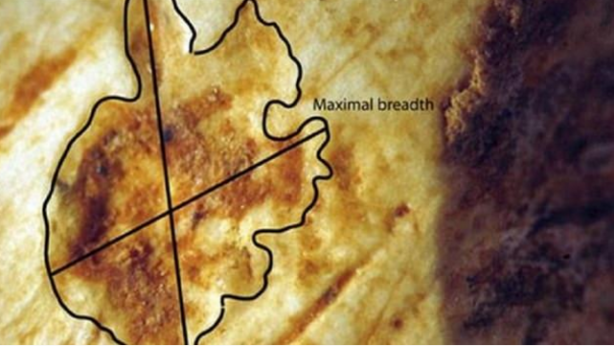 Foto - Yüz binlerce yıllık gizem çözüldü!