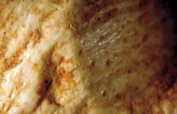 Foto - Yüz binlerce yıllık gizem çözüldü!