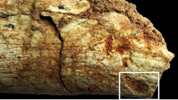 Yüz binlerce yıllık gizem çözüldü!