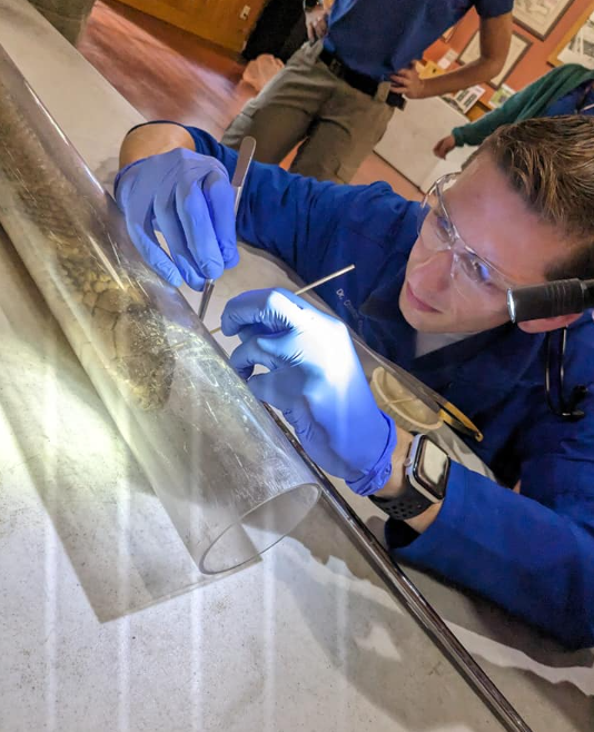 Foto - Yüzüne 3 santimetreden yaklaşmak öldürüyor! Böyle yılana böyle müdahale…