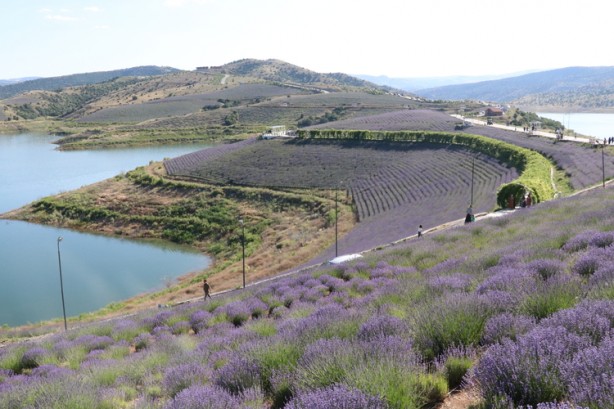 Foto - Yüzünüzde tebessüm oluşturacak! İşte, Türkiye'nin en garip isimli ilçeleri