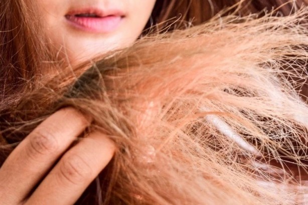 Foto - Yüzyıllardır kullanılan yöntem: Bu bitki Beyaz saçları tarihe gömüyor, tırnak kırılmasına son veriyor! Uygulanıyor