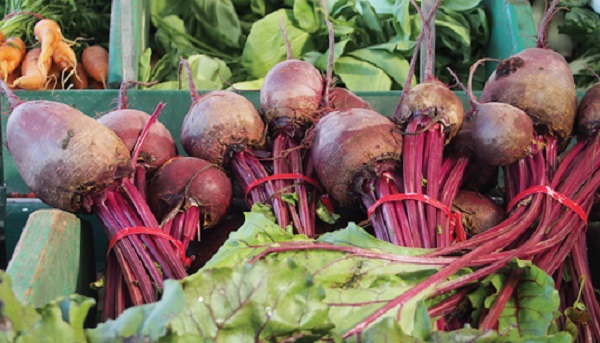 Foto - Yüzyıllardır şifa dağıtıyor! Gribal enfeksiyonlara karşı muhteşem koruma