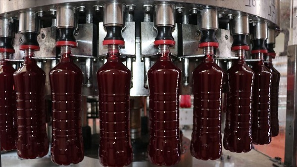 Foto - Yüzyıllardır şifa dağıtıyor! Gribal enfeksiyonlara karşı muhteşem koruma