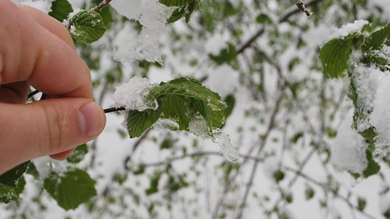 Foto - Zafer Şahin maalesef moralleri bozacak açıklamayı yaptı: Çarşı pazarı vuracak