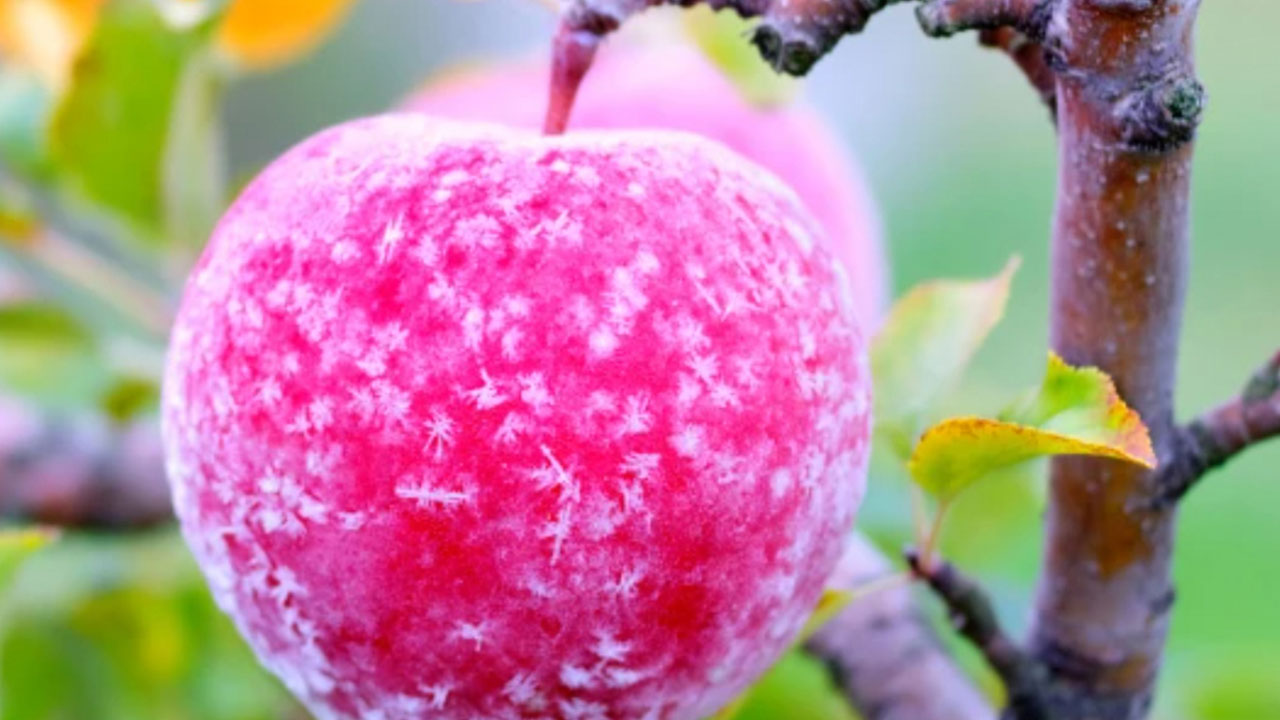 Foto - Zafer Şahin maalesef moralleri bozacak açıklamayı yaptı: Çarşı pazarı vuracak