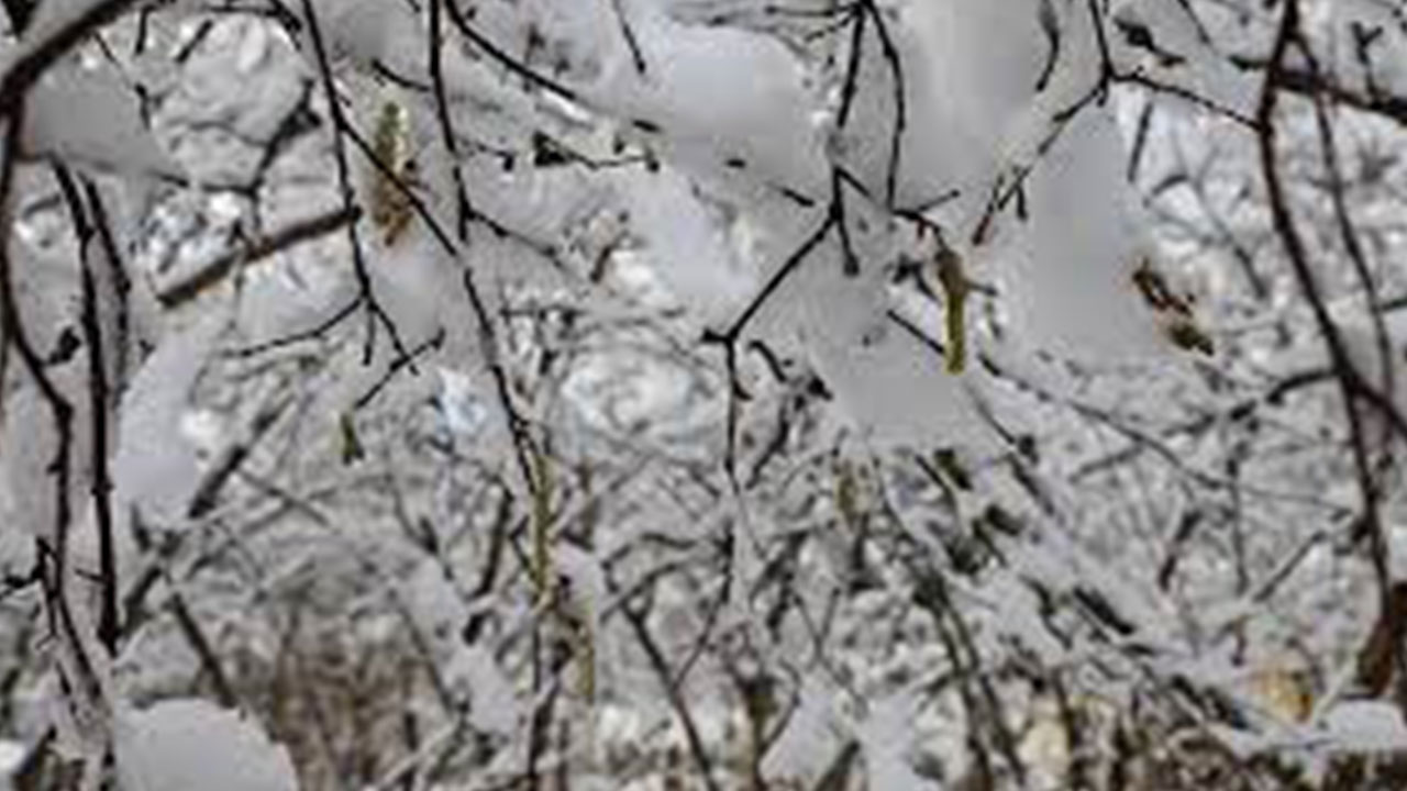 Foto - Zafer Şahin maalesef moralleri bozacak açıklamayı yaptı: Çarşı pazarı vuracak
