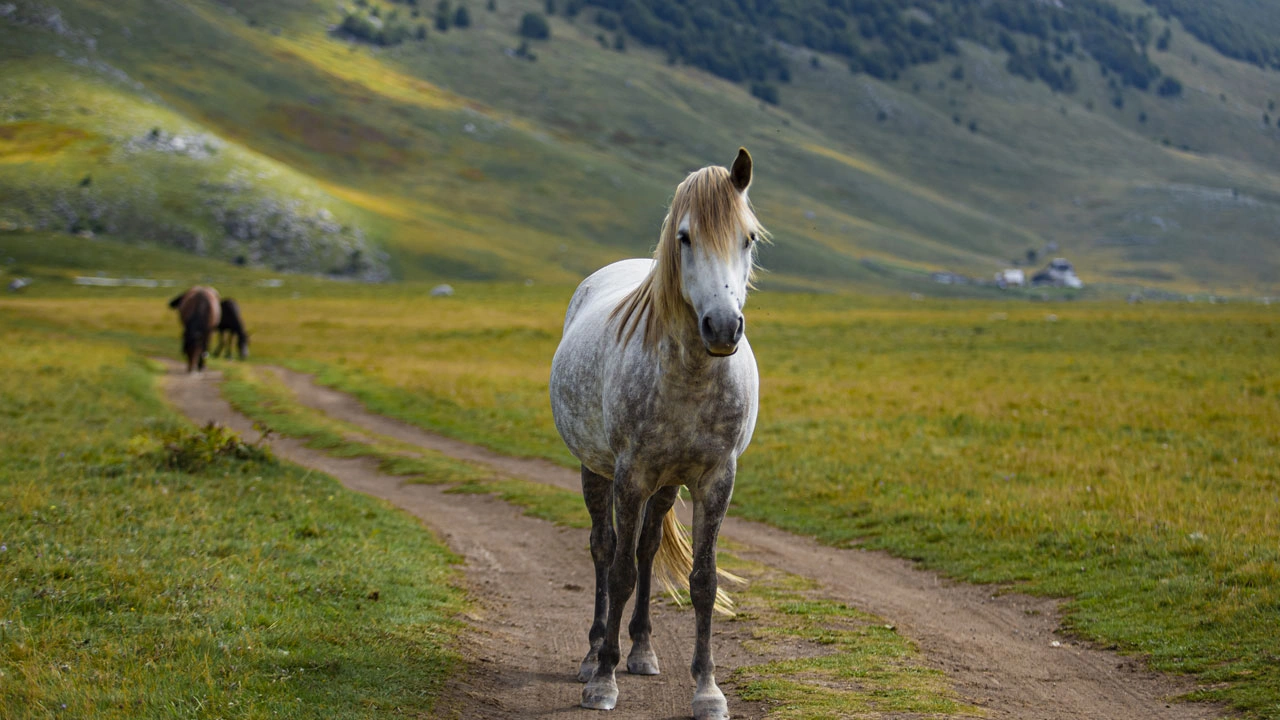 Foto - Zaman burada durdu! Bu köyde hayat teknolojiye değil doğaya bağlı