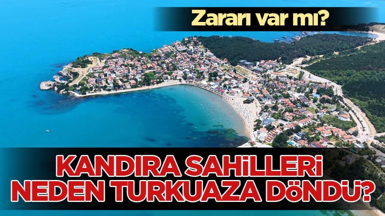 Zararı var mı? Kandıra sahilleri neden turkuaza döndü?
