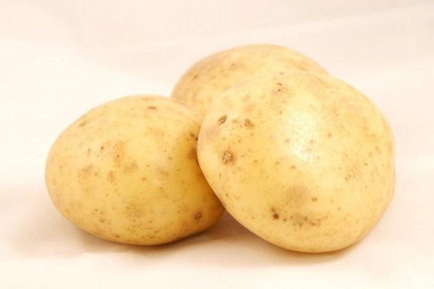 Foto - "Zararlı" deyip asırlardır bizi kandırmışlar! Sadece ölüme çaresi yok! Meğer bin bir derde devaymış 