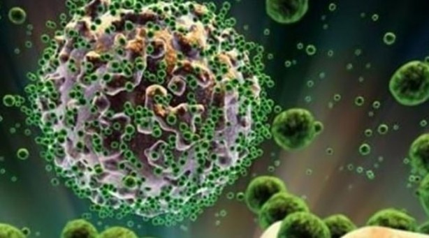 Foto - Zayıflamak istiyorsanız, günde 1 su bardağı...