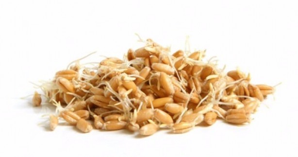 Foto - Zayıflamak istiyorsanız, günde 1 su bardağı...