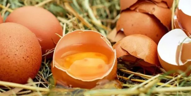 Foto - Zayıflamaya yardımcı 12 tok tutan besin: Açlık son buldu! Zayıflamak isteyen kaşık kaşık yesin!