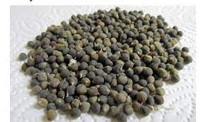 Foto - Zayıflatıyor ve hafızayı güçlendiriyor! İşte bamya tohumunun faydaları! Görünce herkes burun kıvırıyor ama...