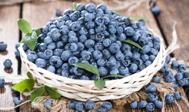 Foto - Zehir gibi hafızanın sırrı! 5 besin