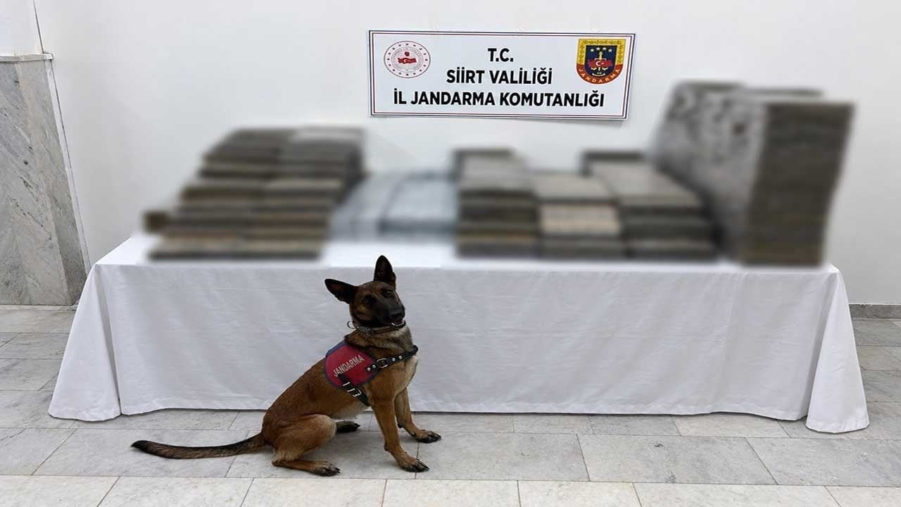 Zehir tacirlerine jandarmadan darbe! Kömür çuvallarına sakladılar ama hassas burun Izgın’ı geçemediler!