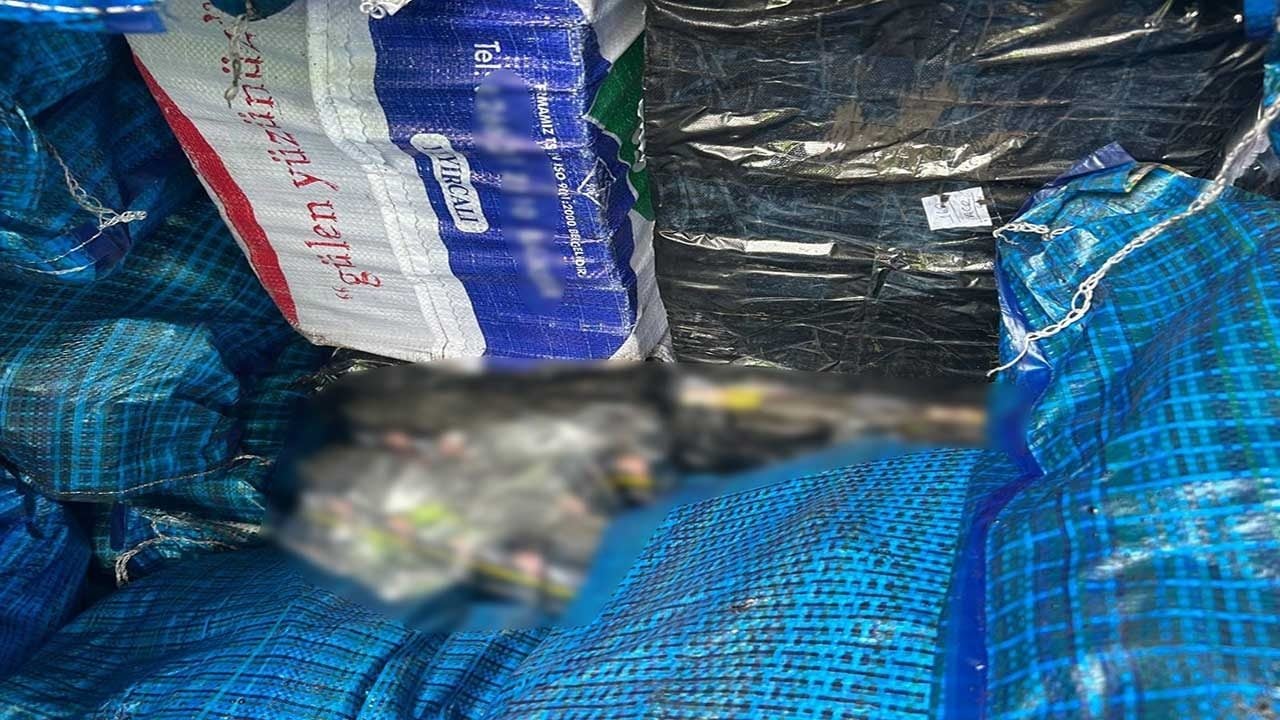 Foto - Zehir tacirlerine jandarmadan darbe! Kömür çuvallarına sakladılar ama hassas burun Izgın’ı geçemediler!