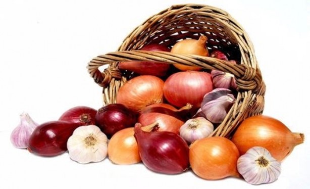 Foto - Zeka geliştiriyorlar!