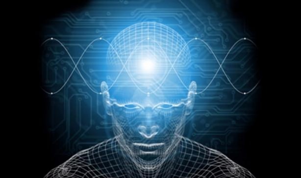 Foto - Zeka geliştiriyorlar!