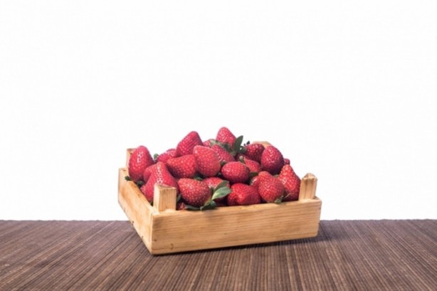 Foto - Zeka geliştiriyorlar!