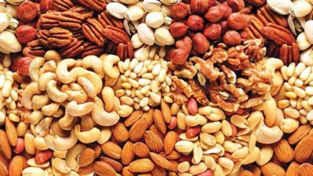 Foto - Zeka geliştiriyorlar!