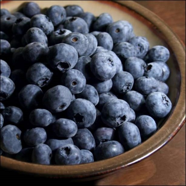 Foto - Zeka geliştiriyorlar!