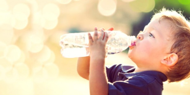 Foto - Zekayı açan 5 besin