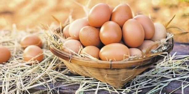 Foto - Zekayı açan 5 besin